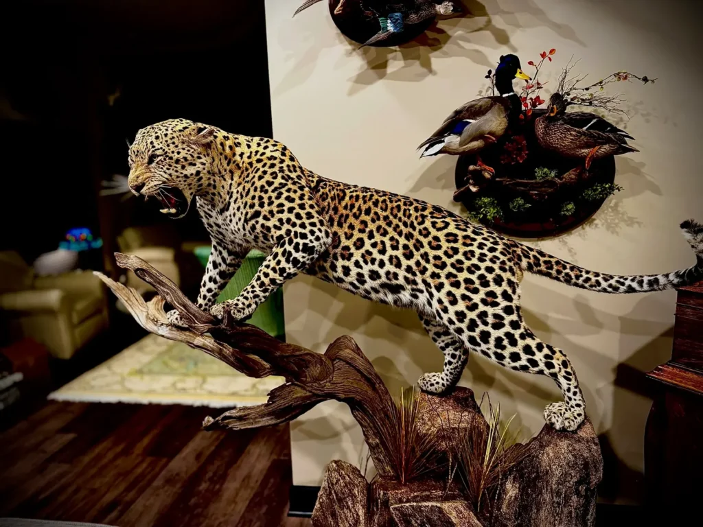 Ashley Frederick hunts